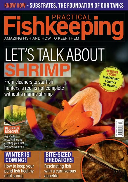 Practical Fishkeeping Magazine