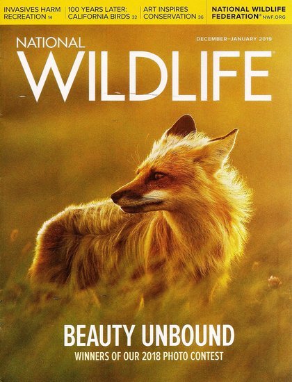 National Wildlife Magazine