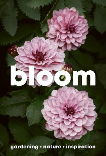 Bloom Magazine