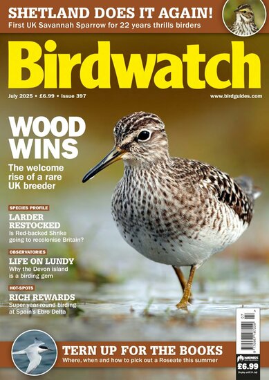Birdwatch Magazine