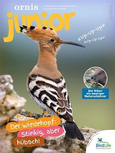 Ornis Junior