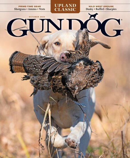 Gun Dog Magazine