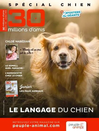 30 millions D&#039;amis