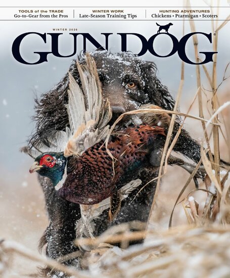 Gun Dog Magazine