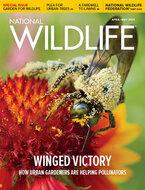 National Wildlife Magazine