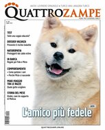 Quarter Horse Journal (German)