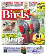 Cage &amp; Aviary Birds Magazine