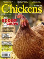 Chickens Magazine