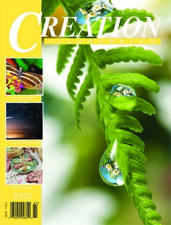 Creation Illustrated Magazine