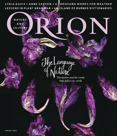 Orion Magazine
