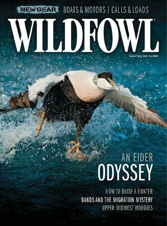 Wildfowl Magazine