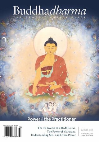 Buddhadharma Magazine