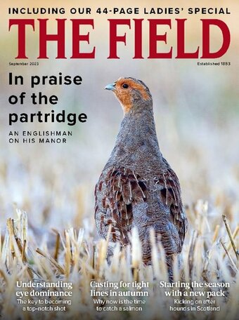 The Field Magazine