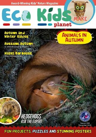 Eco Kids Planet Magazine