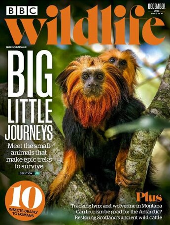 BBC Wildlife Magazine
