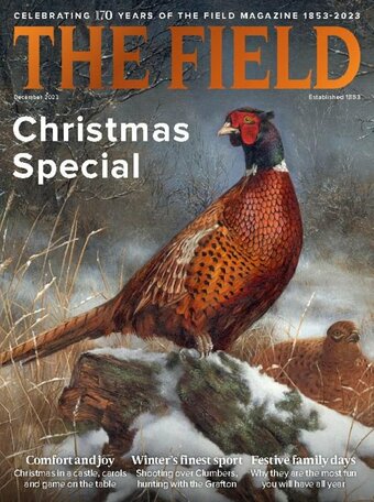 The Field Magazine