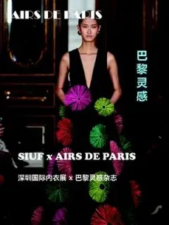 Airs de Paris (French)