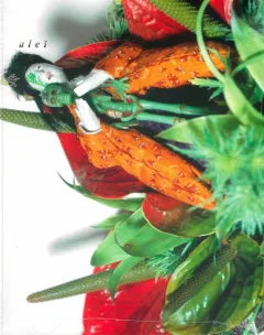 Alei Journal (French)