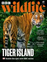 BBC Wildlife Magazine 1