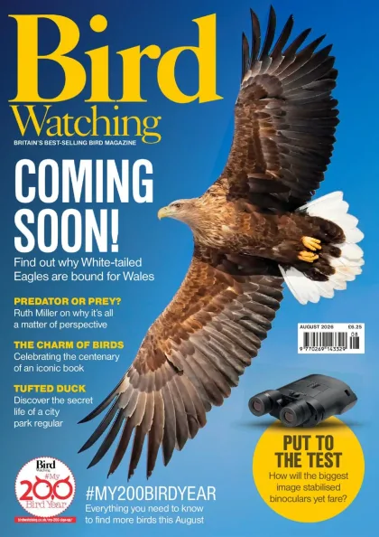 Bird Watching (UK) Magazine