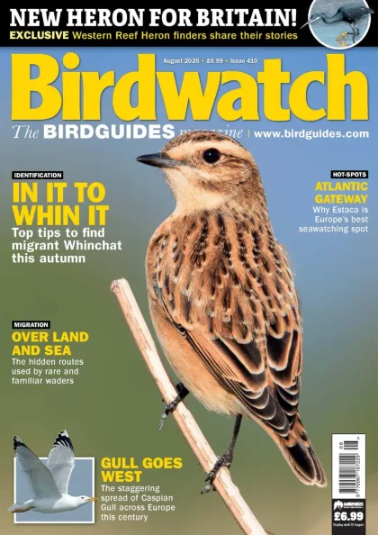 Birdwatch Magazine