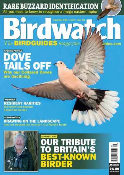 Birdwatch Magazine