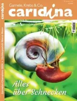 Caridina (German) 1