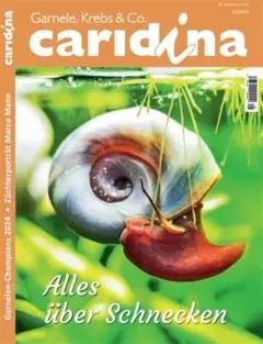 Caridina (German)