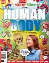 Everything You Need To Know About Magazine 1
