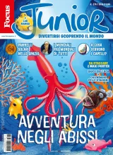 Focus Junior (Italian) 1