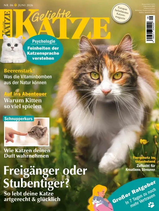Geliebte Katze (German)