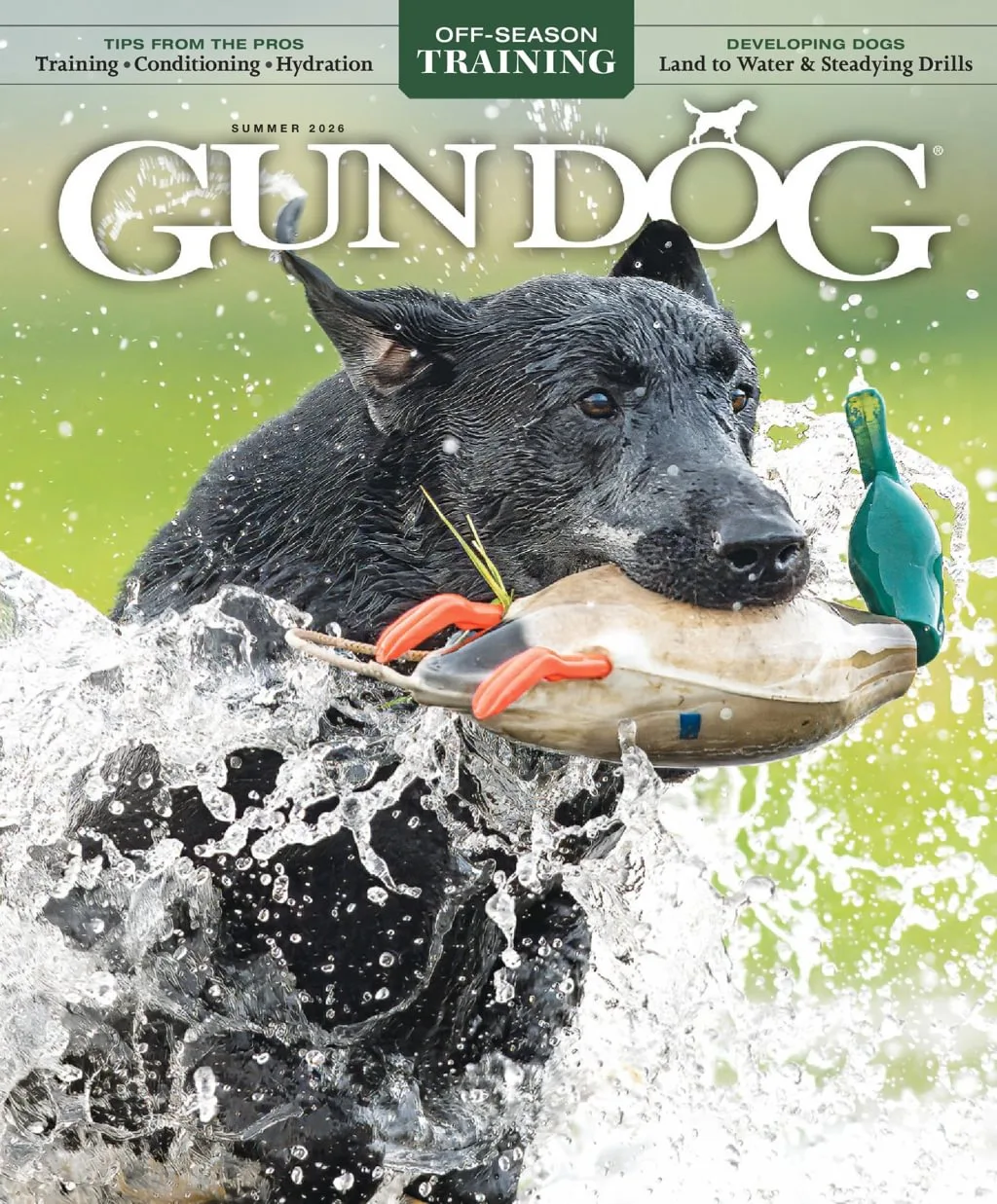 Gun Dog Magazine