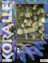 Koralle (German) 1