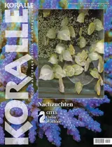 Koralle (German) 1
