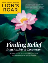 Lions Roar Magazine 1