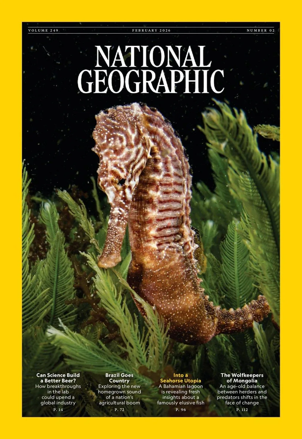 Buy subscription to National Geographic (English Edition) Magazine