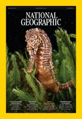 Buy subscription to National Geographic (English Edition) Magazine