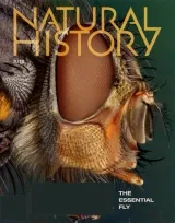 Natural History Magazine 1