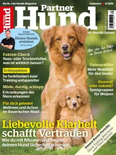 Partner Hund (German)