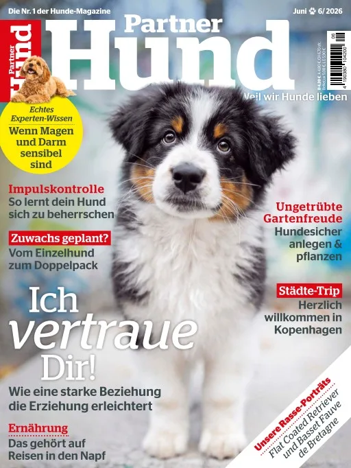 Partner Hund (German)