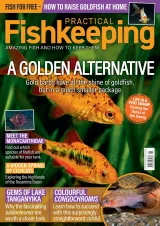 Practical Fishkeeping Magazine 1