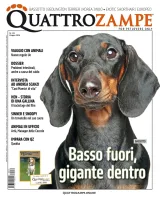 Quarter Horse Journal (German) 1