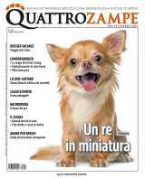 Quarter Horse Journal (German) 1