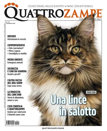 Quarter Horse Journal (German)