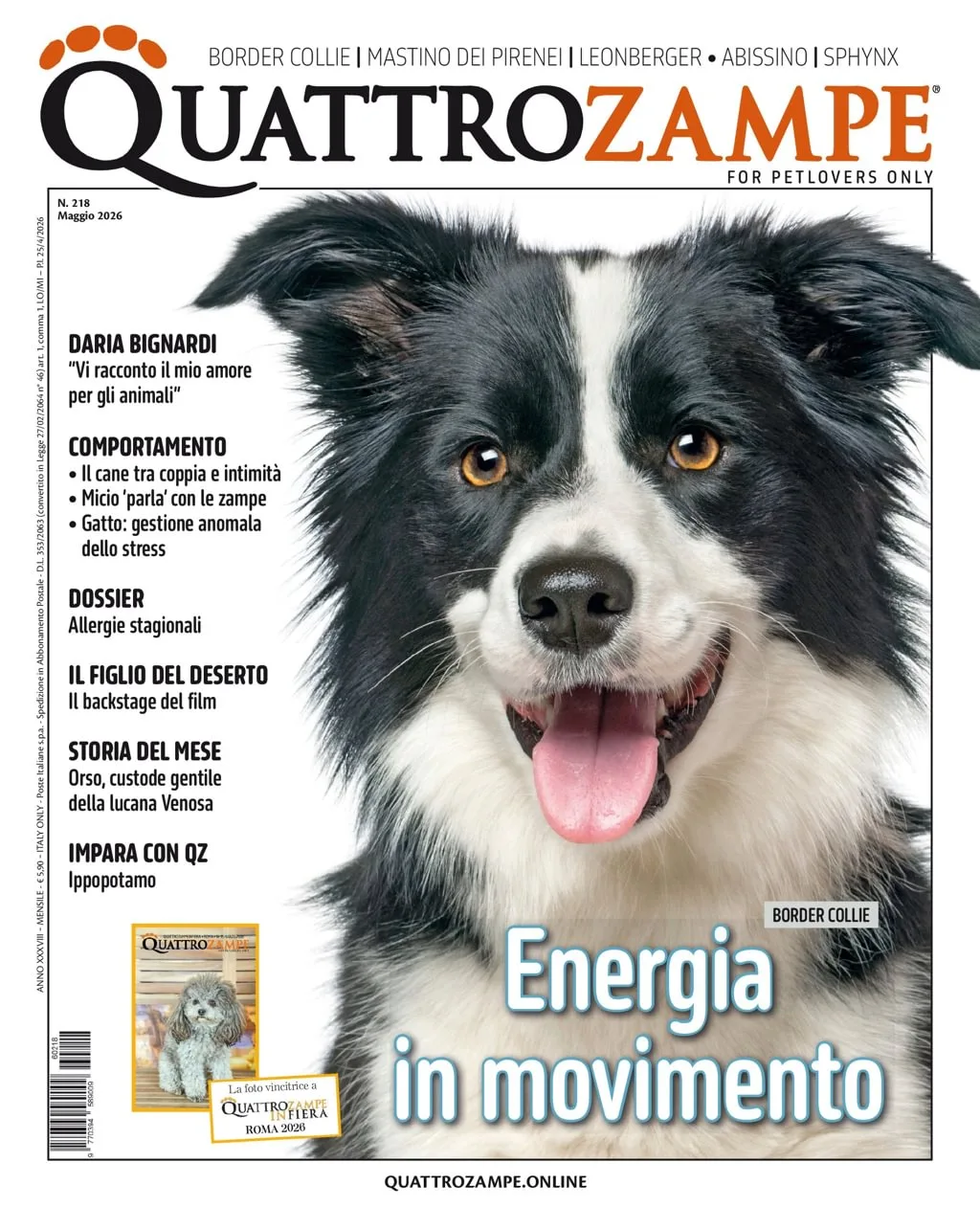 Quarter Horse Journal (German)