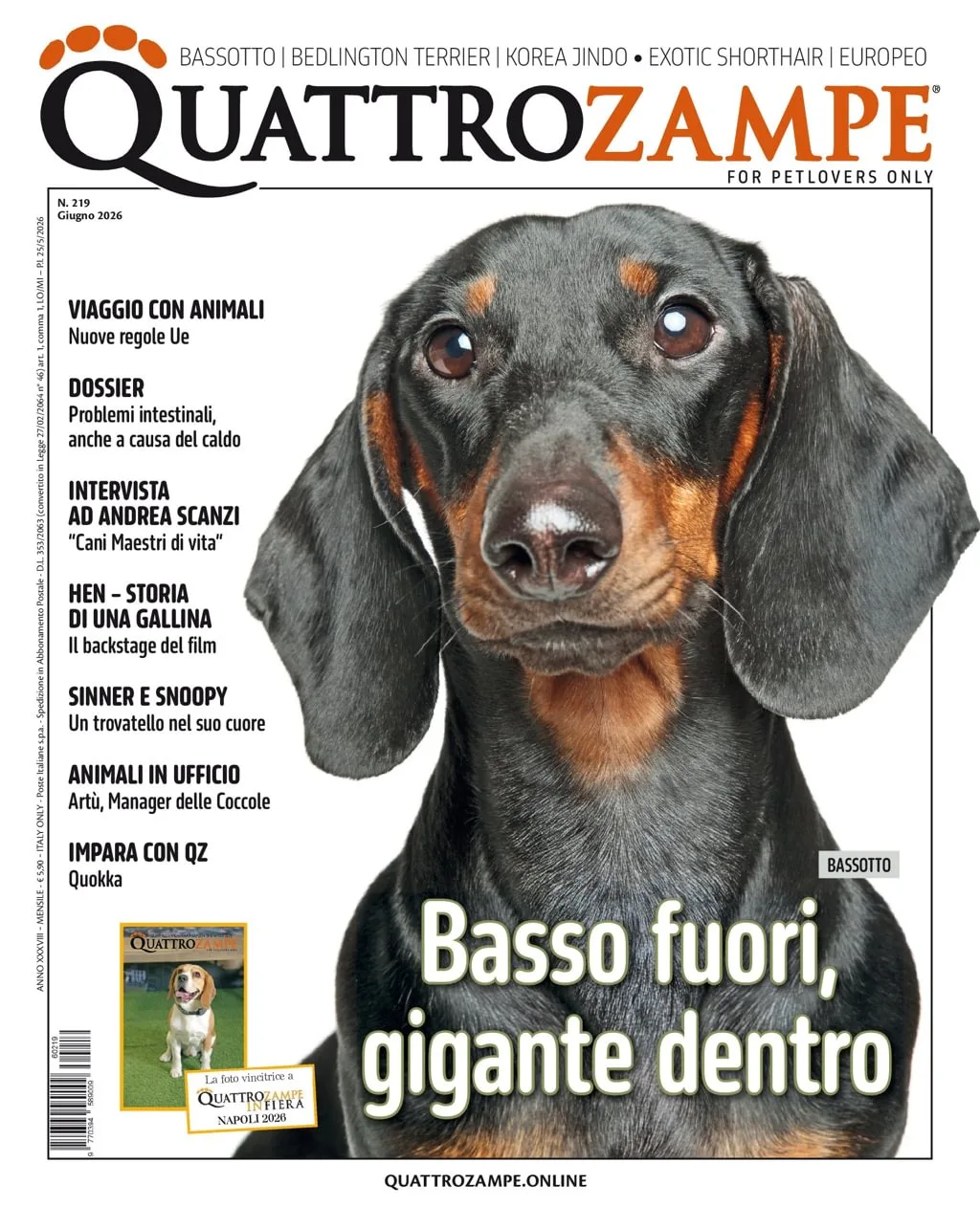 Quarter Horse Journal (German)