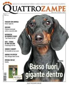 Quattro Zampe (Italian)