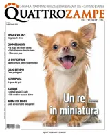 Quattro Zampe (Italian) 1