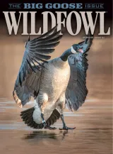 Wildfowl Magazine 1