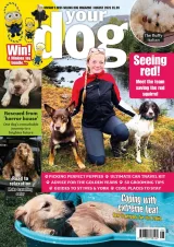 Your Dog Magazine 1